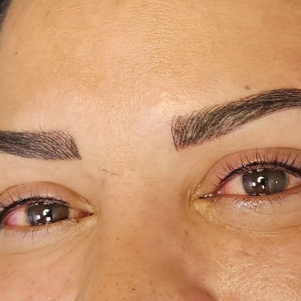 Audrey Elaine Artistry (formerly A. Collins 3D Brows) - powder brows in Henderson, NV