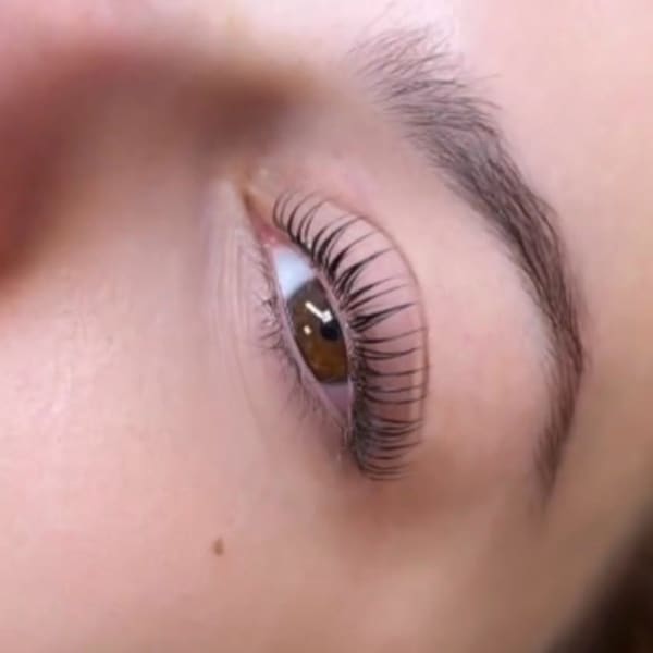Pink Butterfly Lashes - Lashes, Brows, and Facials - permanent makeup work in Belvidere, IL
