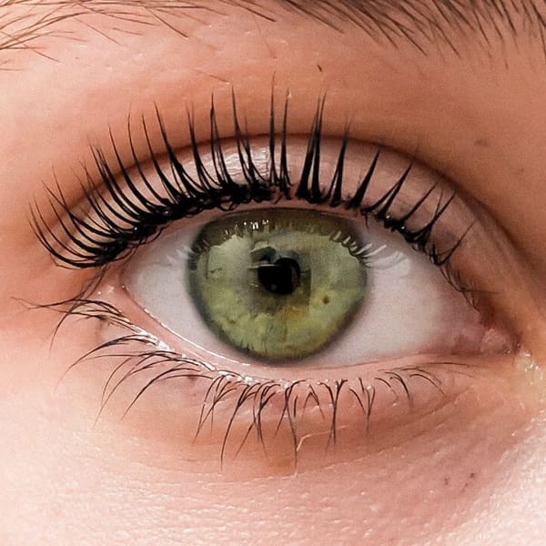 Lush Lashes US - permanent makeup work in Brookline, MA