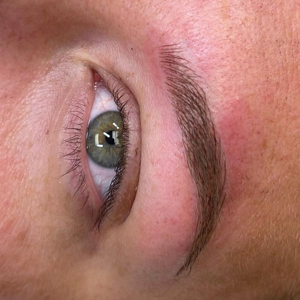 The Brow Lab by B.A - permanent makeup work in Polk City, FL