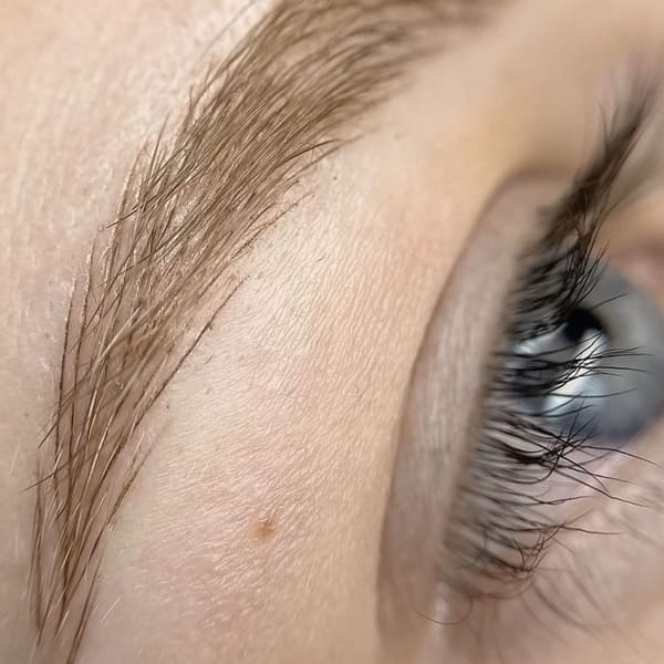 Susy Esthetics LLC - permanent makeup work in Maumelle, AR