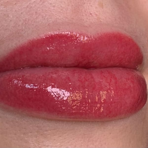 Little House of Brows - permanent makeup work in Montgomery, TX