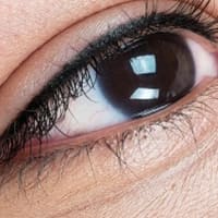 PhiBrows Elite - permanent makeup work