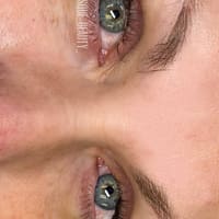 Picturesque Beauty LLC - permanent makeup work