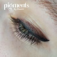 Pigments By Danielle - permanent makeup work