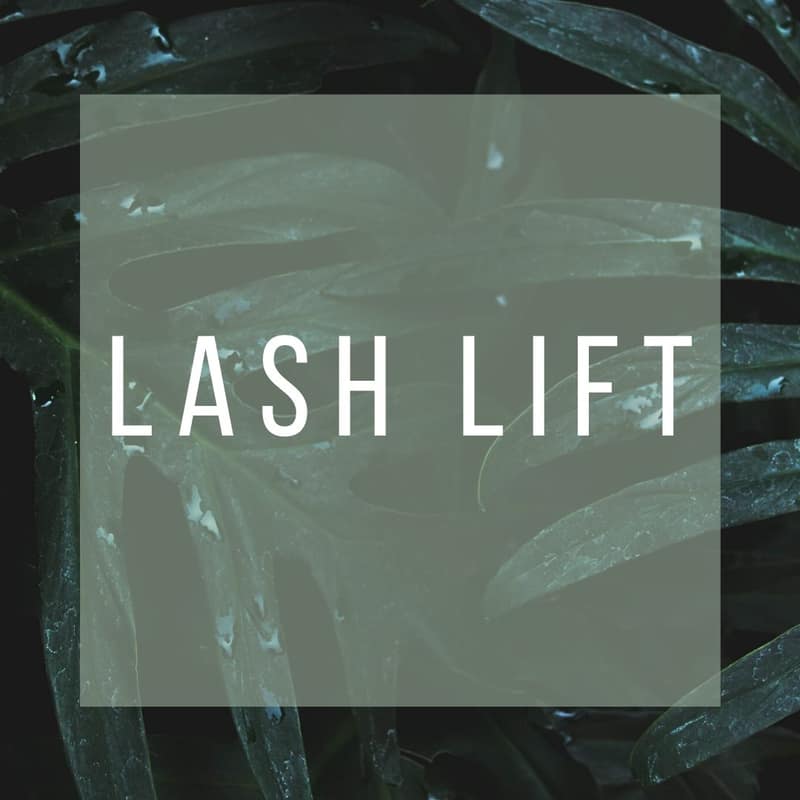 Permanent makeup artists in Plano