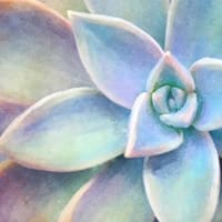 Platinum Esthetics - permanent makeup work