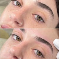 Posh Brows LA - permanent makeup work