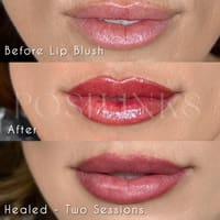 Posh Inks - permanent makeup work