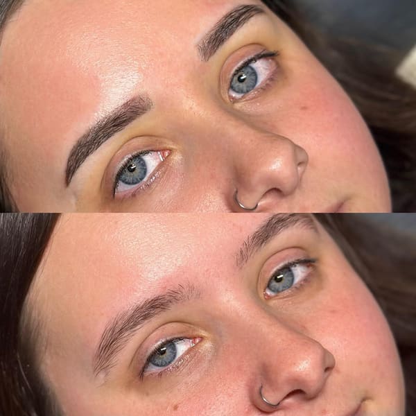 Pretty in Ink LLC - permanent makeup in Mills River, NC