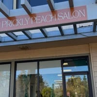Prickly Peach Salon - permanent makeup work