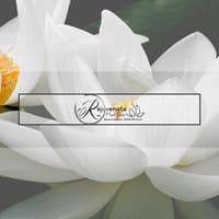 Rejuvenate Med Spa - permanent makeup work