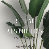 Ritual Aesthetics - permanent makeup work