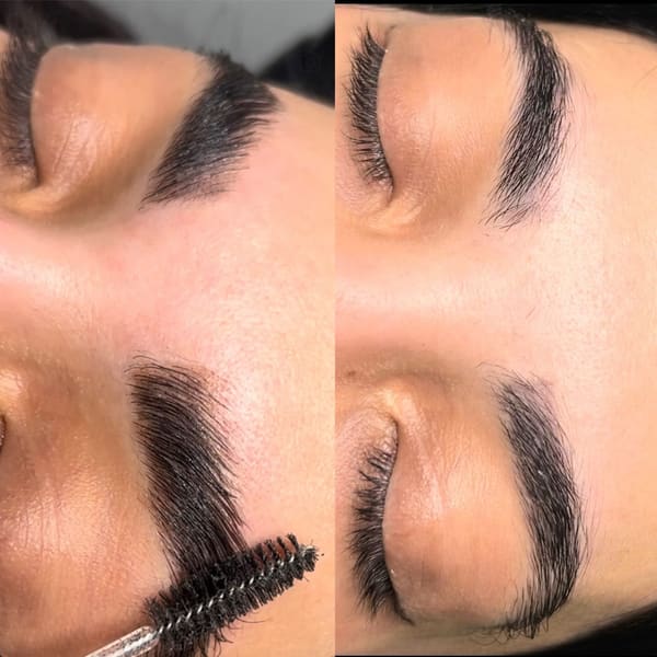 Rosa Brows Permanent Makeup - permanent makeup in Oak Park, CA