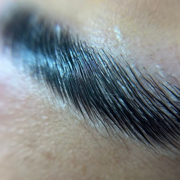 Rose Beauty Bar - permanent makeup in Lewisville, TX