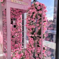 Royal Beauty Studio - permanent makeup work