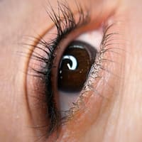 Royal Brows - permanent makeup work