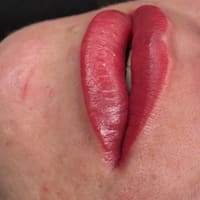 S’Lashed Brows and Lips - permanent makeup work