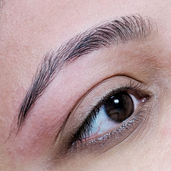 Sarita's Threading - permanent makeup in Brookfield, WI