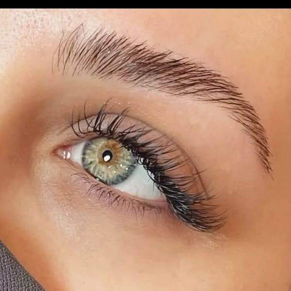 Secret Lashed Society - permanent makeup in Sandy, UT