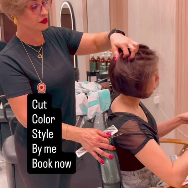 Sepideh art - permanent makeup in Wesley Chapel, FL