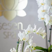 Sesen Spa - permanent makeup work