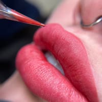 Shabnambrowsllc - permanent makeup work