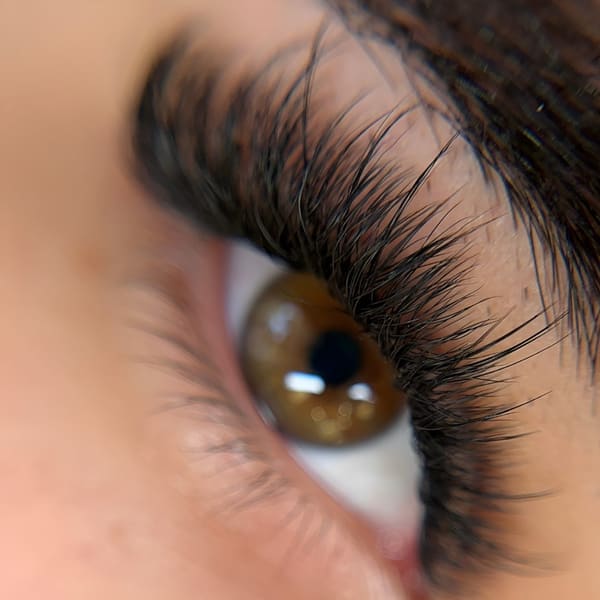 Shalashes - permanent makeup in Haines City, FL