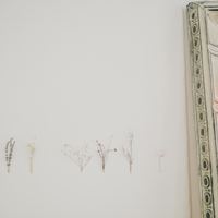 Sherri Permanent Makeup - permanent makeup work