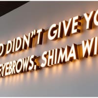 Shima Beauty - permanent makeup work