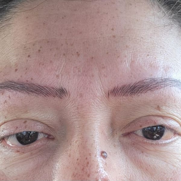 Silvia’s Beauty Palace….Skin Care, Lash Ext., Hair Removal, PMU - permanent makeup in Oswego, IL