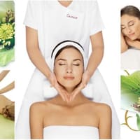 Skin Apeel - permanent makeup work