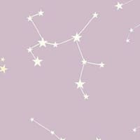 Starlight Beauty PMU - permanent makeup work