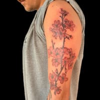 Stigma Ink Tattoo & Piercing Studio - permanent makeup work