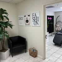 Successbrows - permanent makeup work