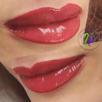 Swan Consulting Permanent Cosmetics - permanent makeup work