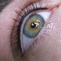 Sweet Dee Brows - permanent makeup work