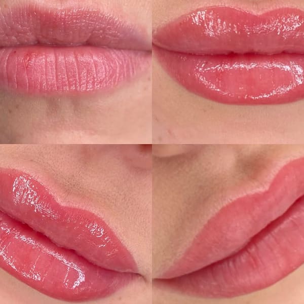 T&T EyesBrows - Microshading Microblading Lips Blush Eyeliner Lashes Hoover Alabama - permanent makeup in Hoover, AL