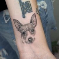 Tattoo and beauty - permanent makeup work
