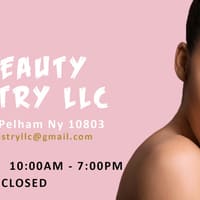 The Beauty Artistry LLC - permanent makeup work
