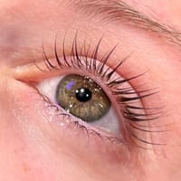 The Beauty Hive - permanent makeup work