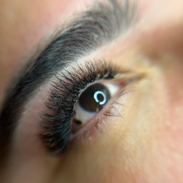 The Beauty Lab TBL BROWS AND LASHES - permanent makeup in San Bernardino, CA