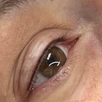 The Beauty Mark Ink - permanent makeup work