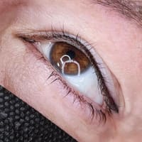 The Beehive Aesthetic - Microblading - permanent makeup work