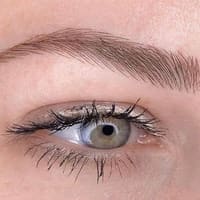 The Blush Brow Studio - permanent makeup work