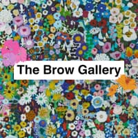 The Brow Gallery LLC - permanent makeup work