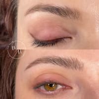 The Brow Habitat - permanent makeup work