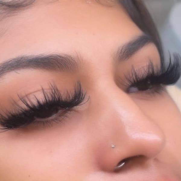 The Brow & Lash Bar - permanent makeup in Westminster, CO