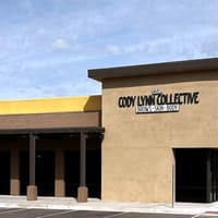 The Cody Lynn Collective - permanent makeup work
