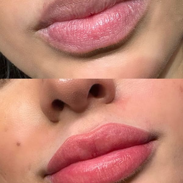 The Elegant Ink - permanent makeup in Oakland Park, FL